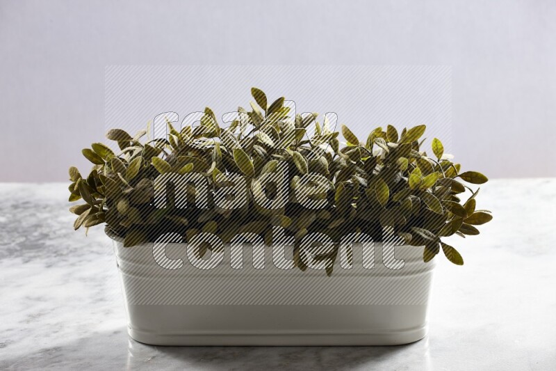 Multiple green artificial plants in white pot on grey marble background