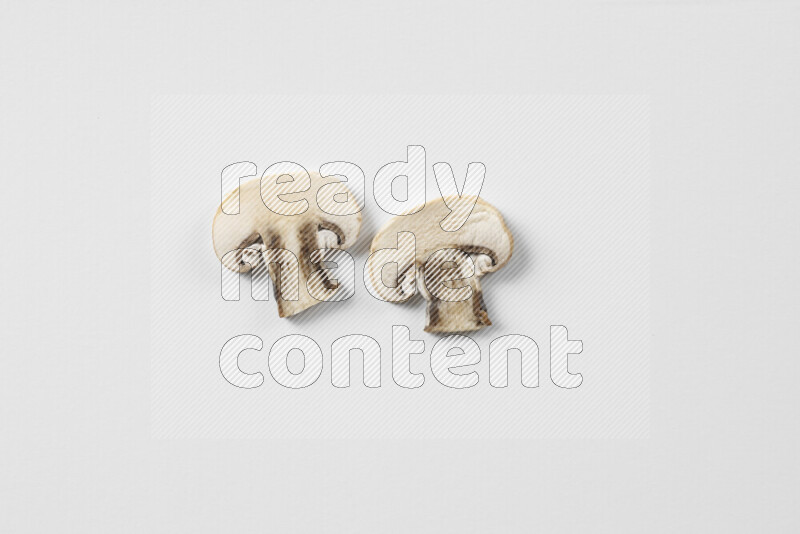 Mushrooms on white background