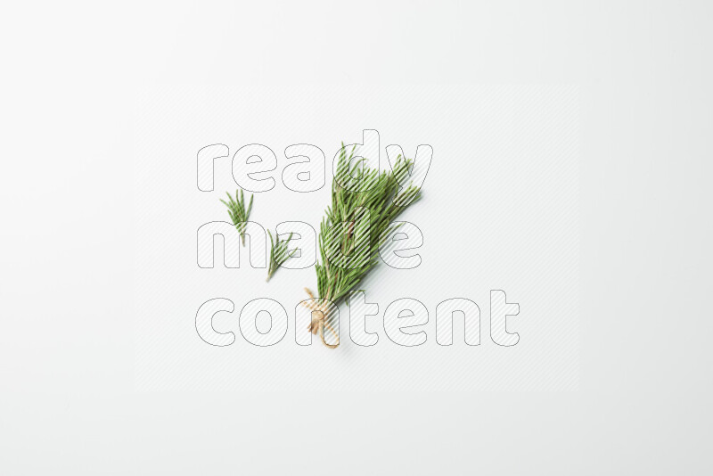 Multi fresh rosemary sprigs on white background