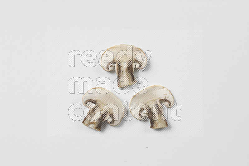 Mushrooms on white background