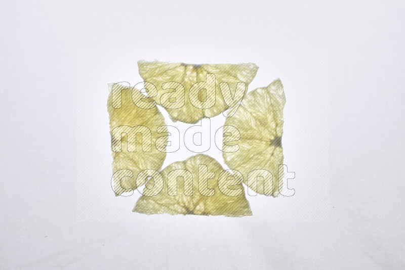Orange slices on illuminated white background