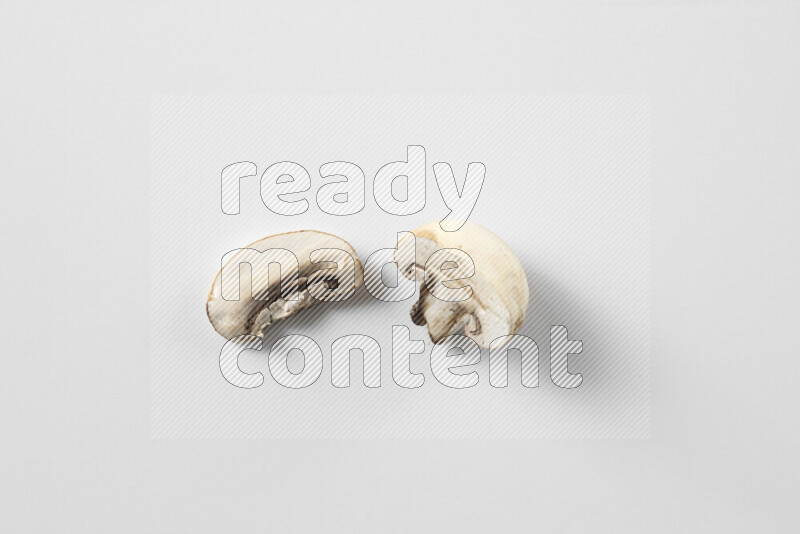 Mushrooms on white background