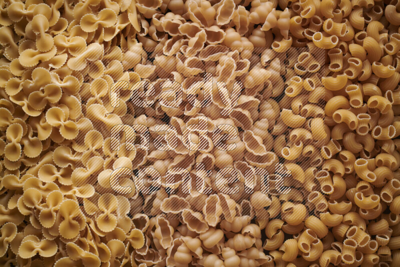 3 types of pasta filling the frame