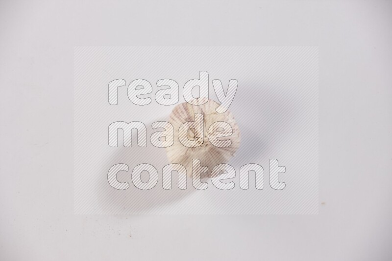 A whole garlic bulb placed on a white flooring
