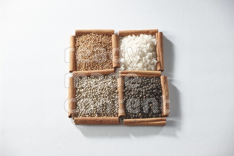 4 squares of cinnamon sticks full of mustard, salt, white pepper and black pepper on white flooring