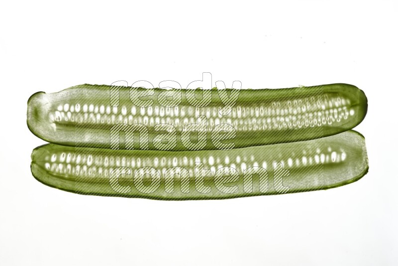 Cucumber slices on illuminated white background