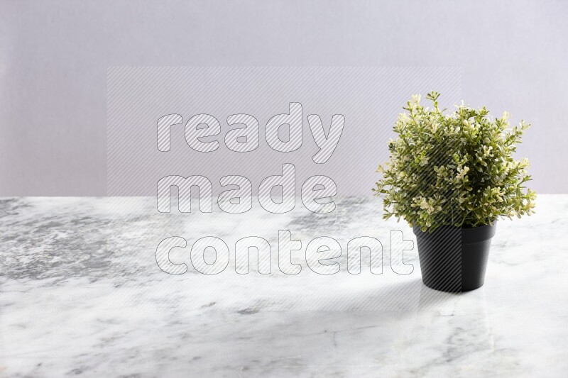 Artificial plant in black pot on grey marble background
