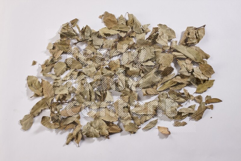Dried bay leaves on white flooring in different angles