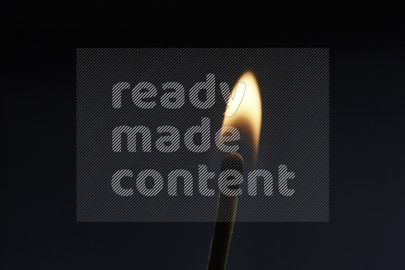 A burning matchstick isolated on dark backdrop