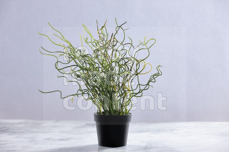 Green artificial plant in black pot on grey marble background