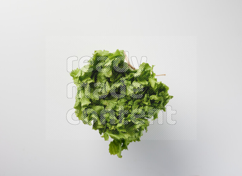 A fresh head of lettuce with green leaves on white background