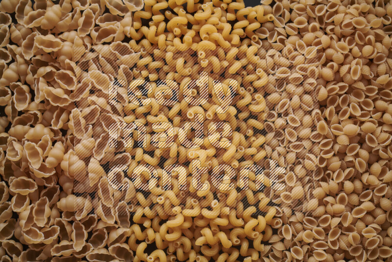 3 types of pasta filling the frame