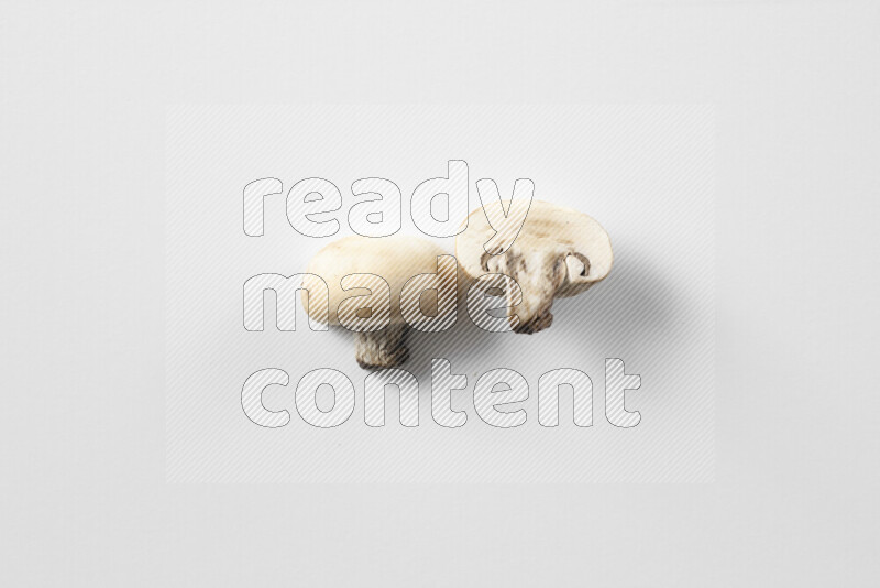 Mushrooms on white background