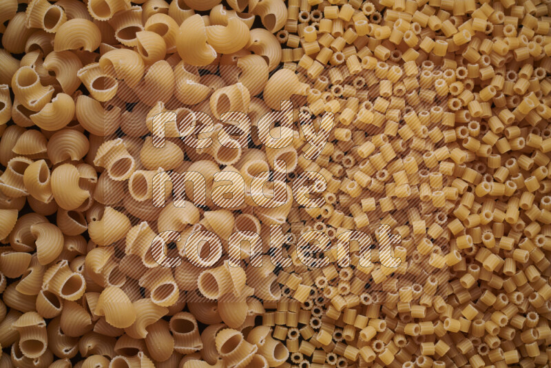 2 types of pasta filling the frame