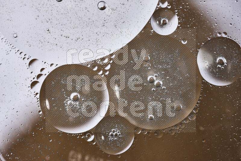 Close-ups of abstract oil bubbles on water surface in shades of white and brown