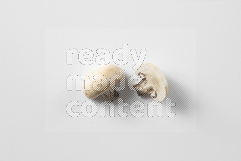 Mushrooms on white background