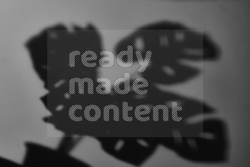 A delicate gobo light projects the silhouette of plant leaves onto a smooth surface