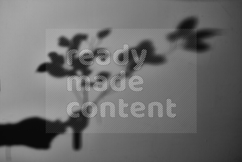 A delicate gobo light projects the silhouette of plant leaves onto a smooth surface