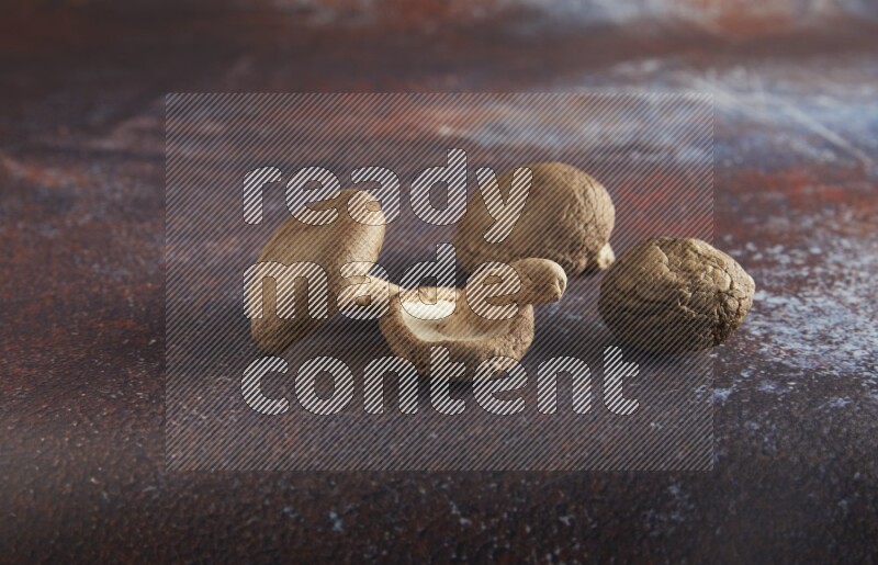 45 degre shiitake mushrooms on a textured reddish rustic metal background