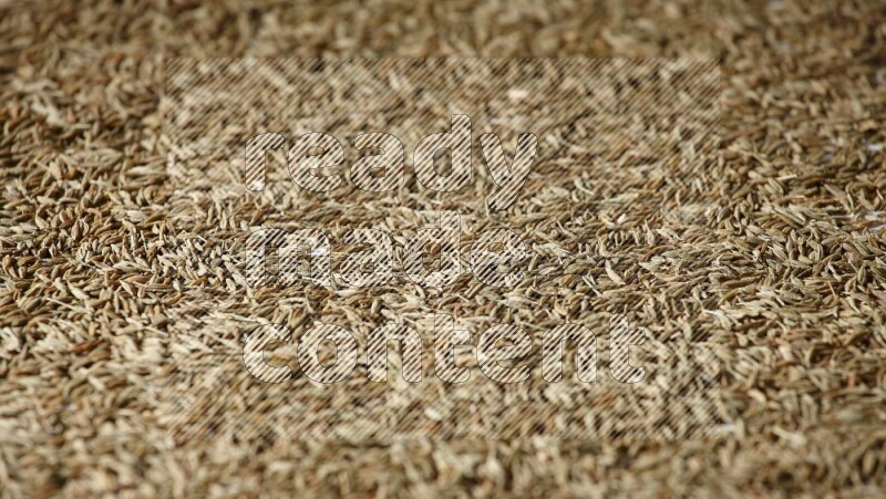 Cumin seeds on white flooring