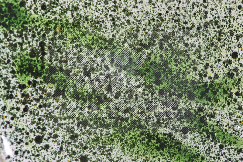 لقطات مقربة لقطرات ألوان مائية خضراء على سطح الزيت على خلفية بيضاء