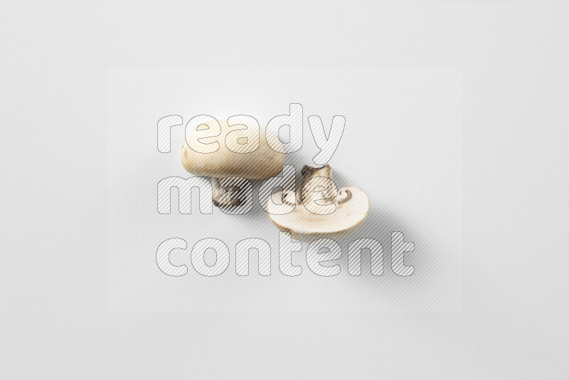 Mushrooms on white background
