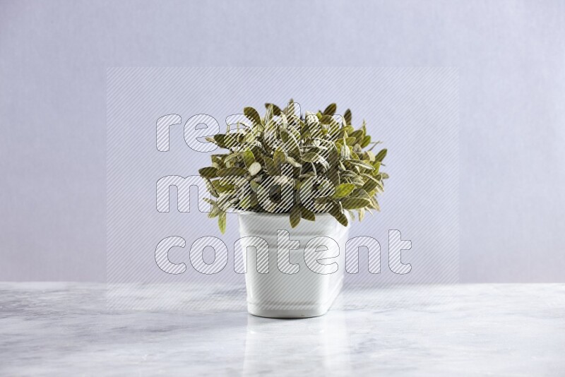 Multiple green artificial plants in white pot on grey marble background