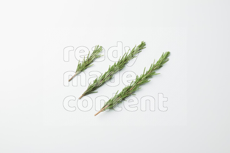 Three fresh rosemary sprigs on white background
