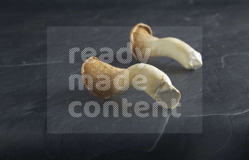 45 degre king oysters mushrooms on a textured black slate background