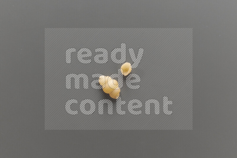 معكرونة قواقع مع أنواع أخري من المعكرونة علي خلفية رمادية